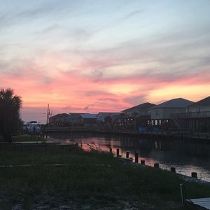 Meet your Posher, Carey